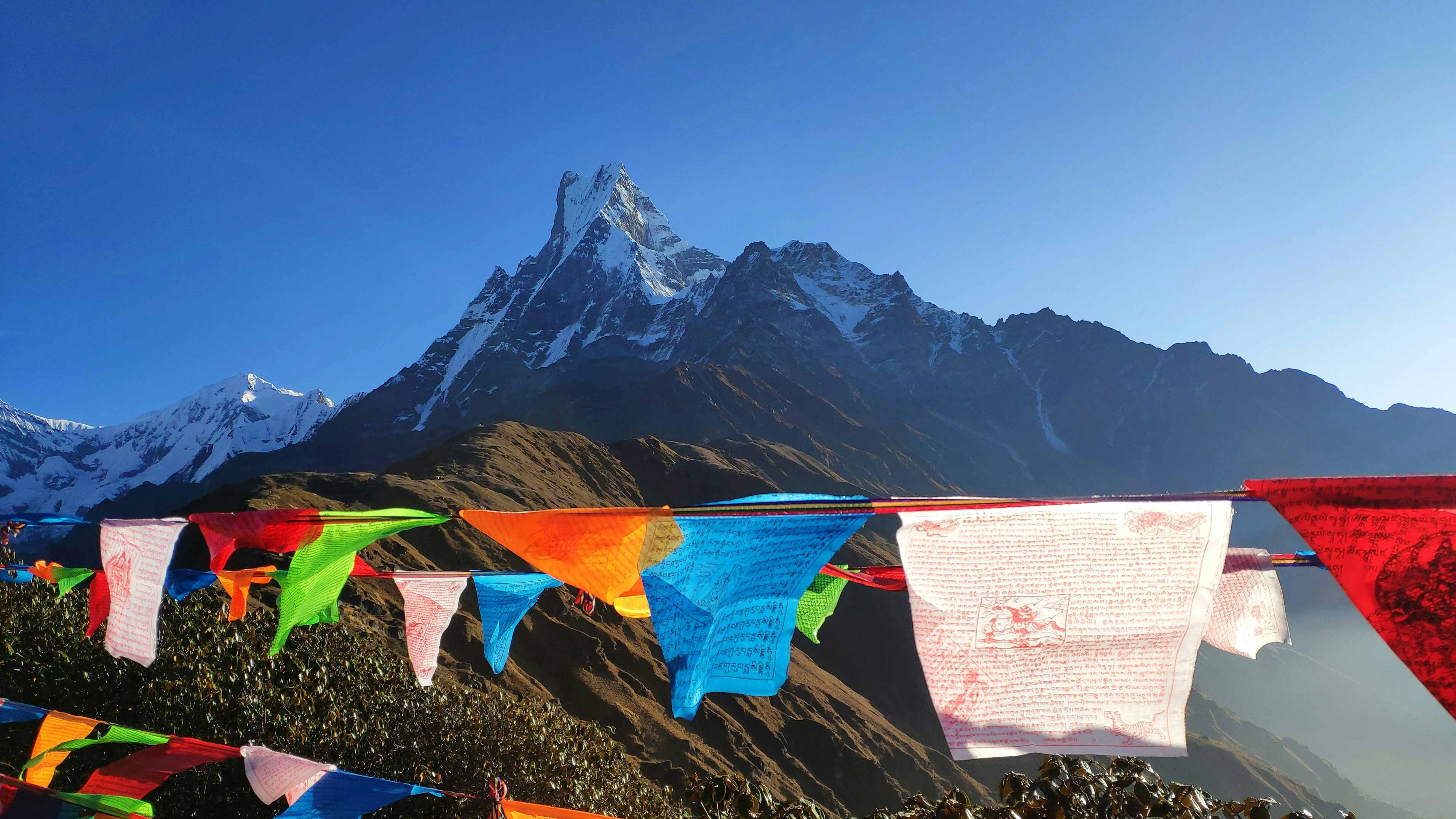 Scaling New Digital Heights: How AMRC Transformed Acme Adventure & Treks